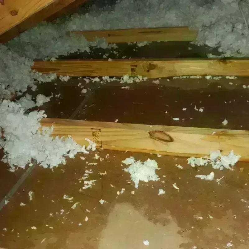 Attic Water Damage in Tye, TX