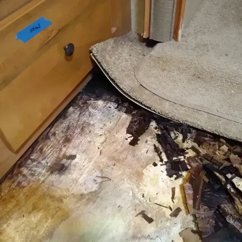 Wood Floor Water Damage in Tye, TX